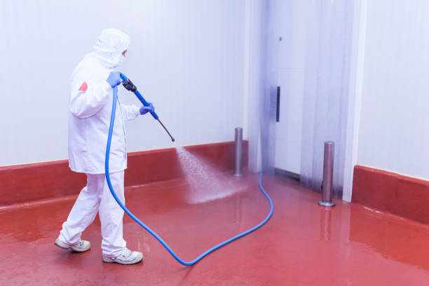 Spring Cleaning in Edmonston, MD