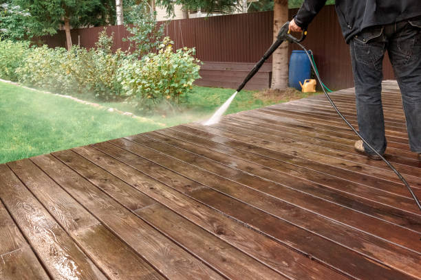 Best Solar Panel Cleaning  in Edmonston, MD