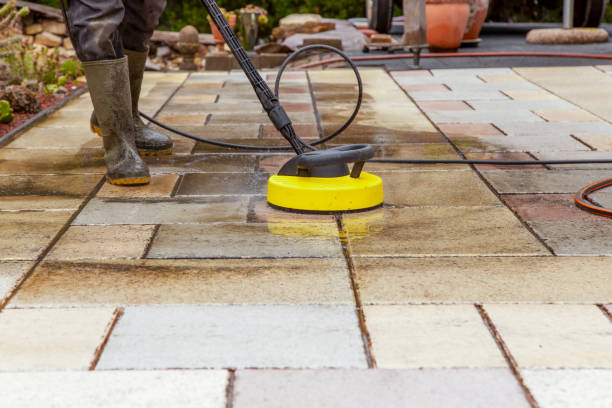 Best Winterizing Services  in Edmonston, MD