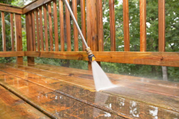 Best Gutter Cleaning  in Edmonston, MD